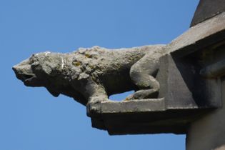 Gargoyle in de vorm van een hond op Martinikerk in Groningen